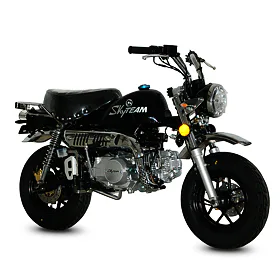 SkyTEAM SKYMINI 125cc black
