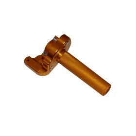 Rychlopal typ 01, zlatý