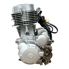 Motor pitbike Zongshen ZS169FMM 250 ccm, E-start