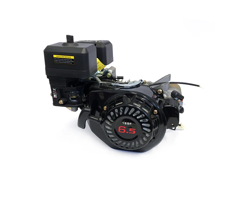 Kompletní motor pro Buggy HammerHead 200ccm (168F 6.5)