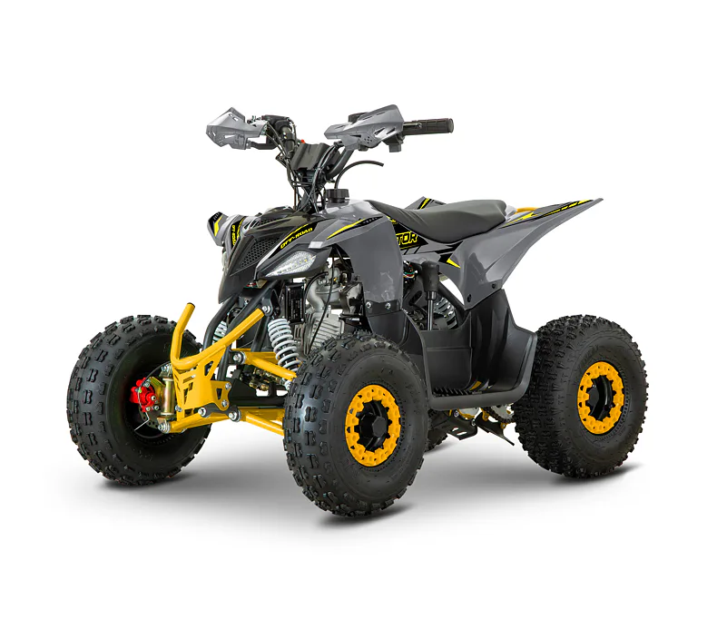 Dětská čtyřkolka MiniRaptor 110cc, šedá