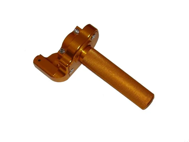 Rychlopal typ 01, zlatý