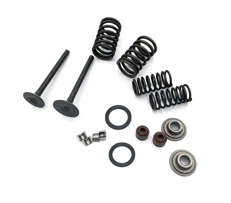 Sada ventilů pro motor SKY/RAM 125cc