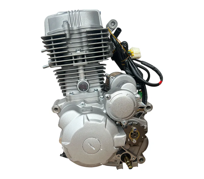 Motor pitbike Zongshen ZS169FMM 250 ccm, E-start