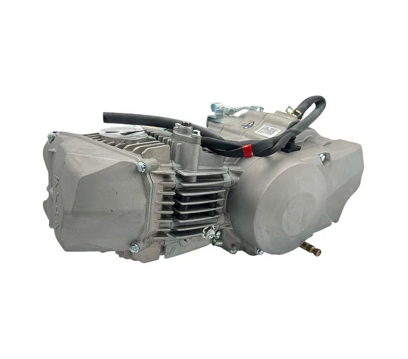 Daytona Anima 190FDX motor