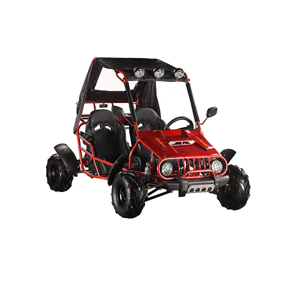 Buggy 125ccm automat (1+1) 