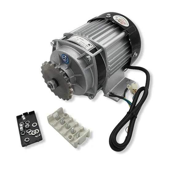 Bezkartáčový elektromotor 1000W36V