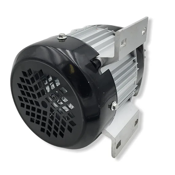 Bezkartáčový elektromotor 1000W36V