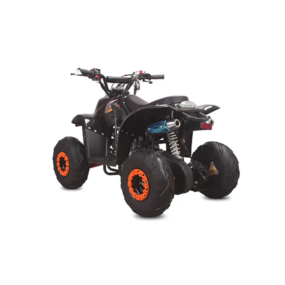 Čtyřkolka MiniRocket Buffalo 110ccm, 6"kola