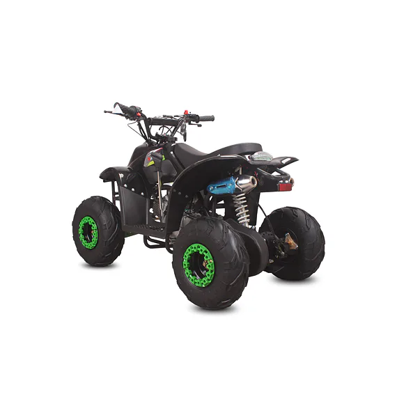 Čtyřkolka MiniRocket Buffalo 110ccm, 6"kola