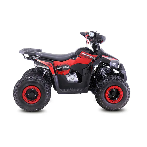 Čtyřkolka MiniRocket MudHawk 110