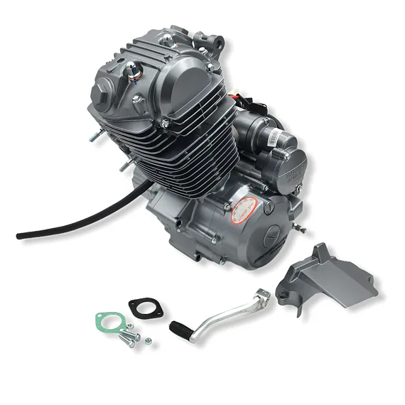 Kompletní motor pro Čtyřkolku 250ccm (166FMM)