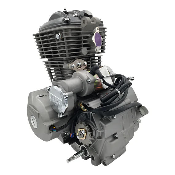 Kompletní motor pro Pitbike 250ccm (TY223)