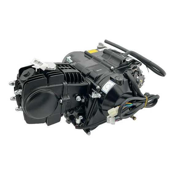 Motor 125cc s elektrickým startérem 153FMI
