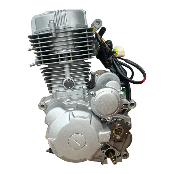Motor pitbike Zongshen ZS169FMM 250 ccm, E-start