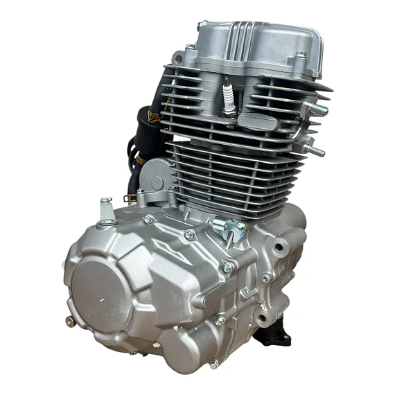 Motor pitbike Zongshen ZS169FMM 250 ccm, E-start