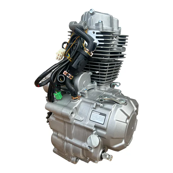 Motor pitbike Zongshen ZS169FMM 250 ccm, E-start
