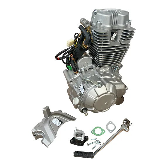 Motor pitbike Zongshen ZS169FMM 250 ccm, E-start