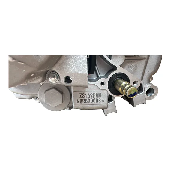 Motor pitbike Zongshen ZS169FMM 250 ccm, E-start
