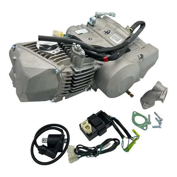 Daytona Anima 190FDX motor