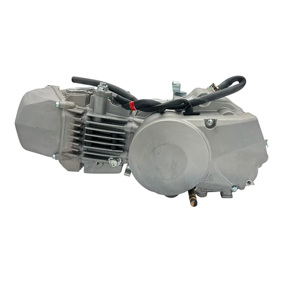 Daytona Anima 190FDX motor