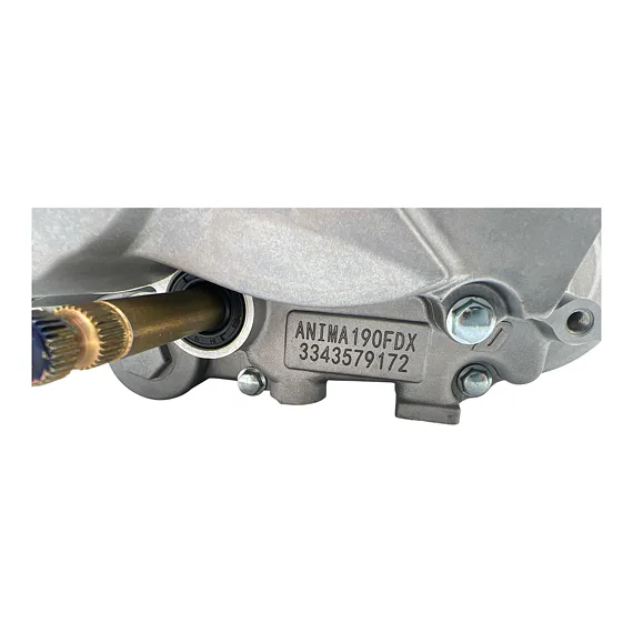 Daytona Anima 190FDX motor